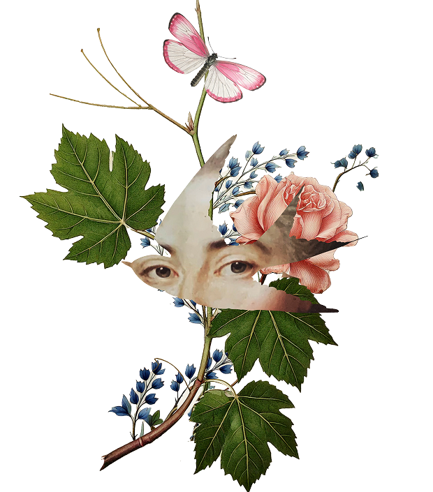 Illustration_Larrivaux_01 12