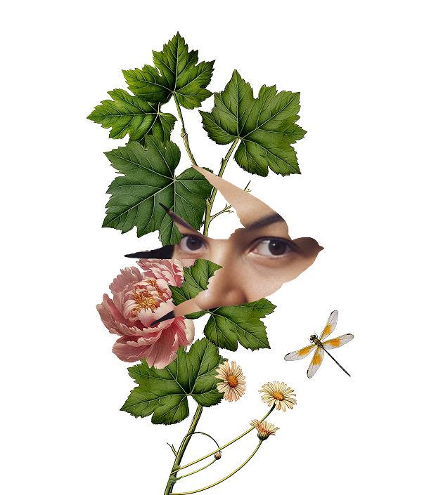 Illustration_Larrivaux_01 132