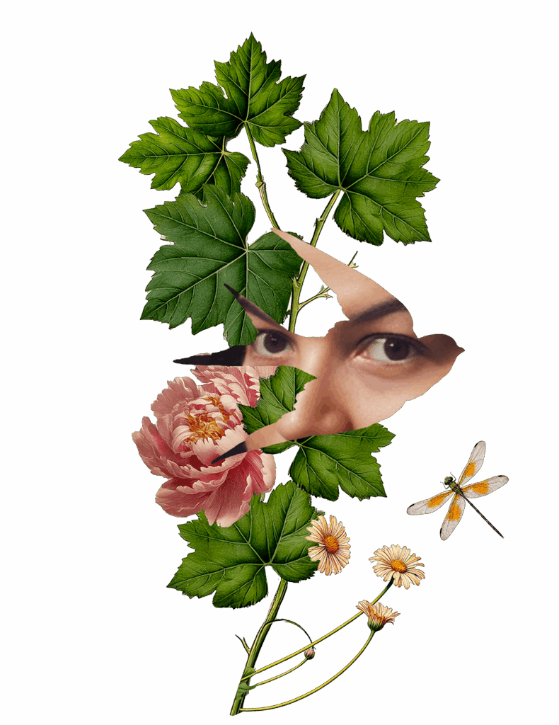 Bérangère Tesseron